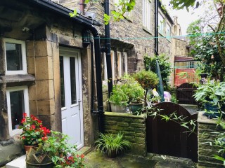 Rear courtyard