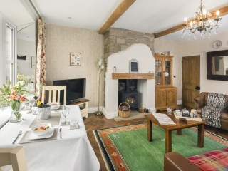 Sitting room with fire