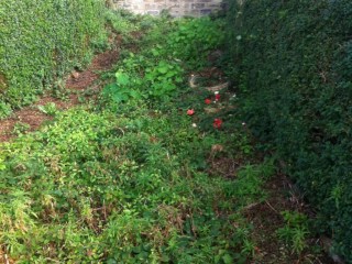 gardenarchive